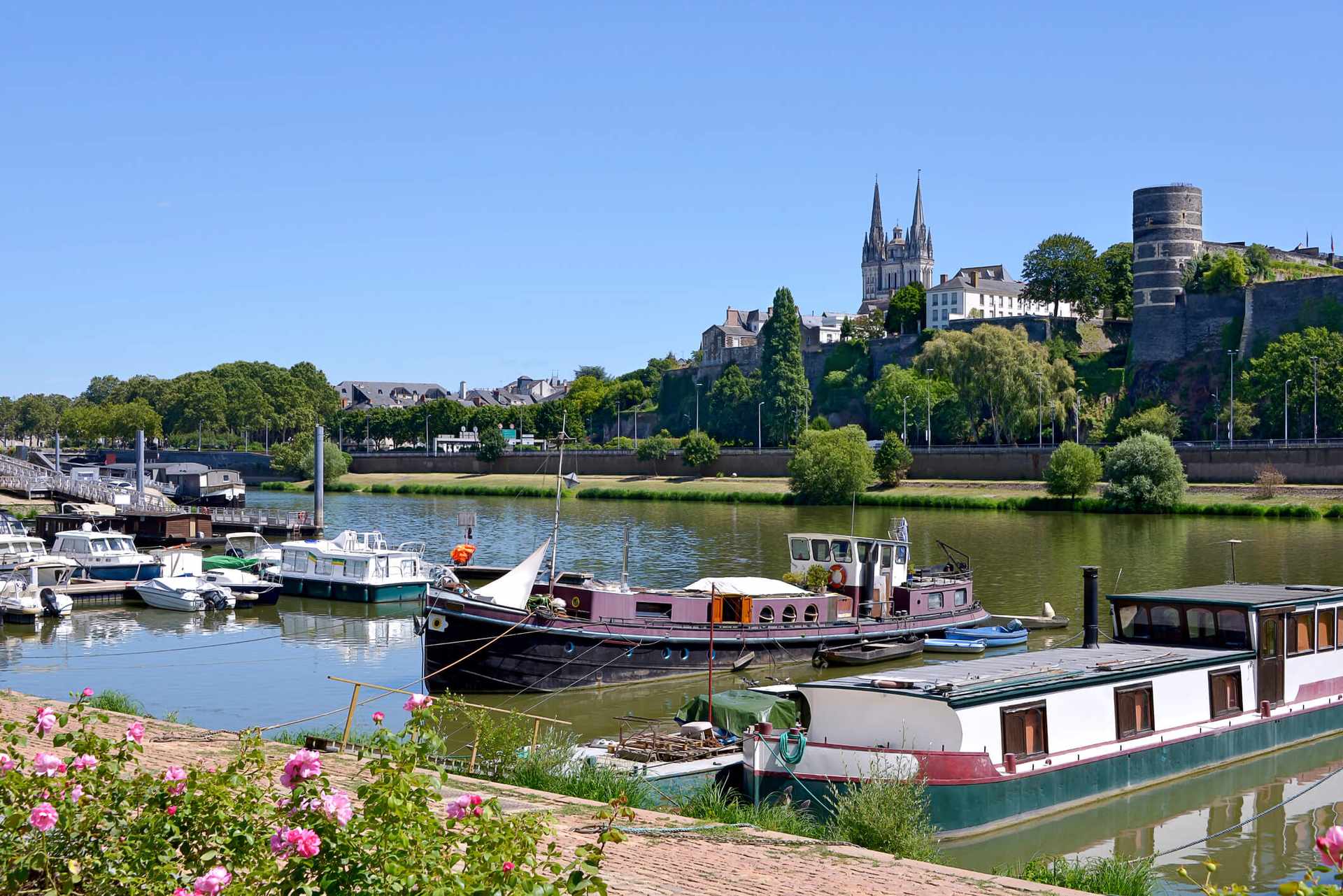 Location de véhicule - ANGERS