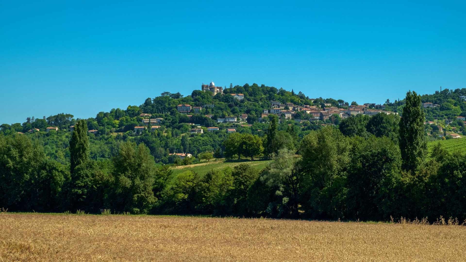 Location de véhicule - BOE