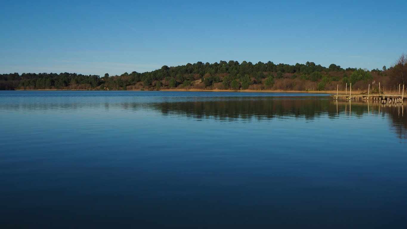 Location de véhicule - MORCENX LA NOUVELLE