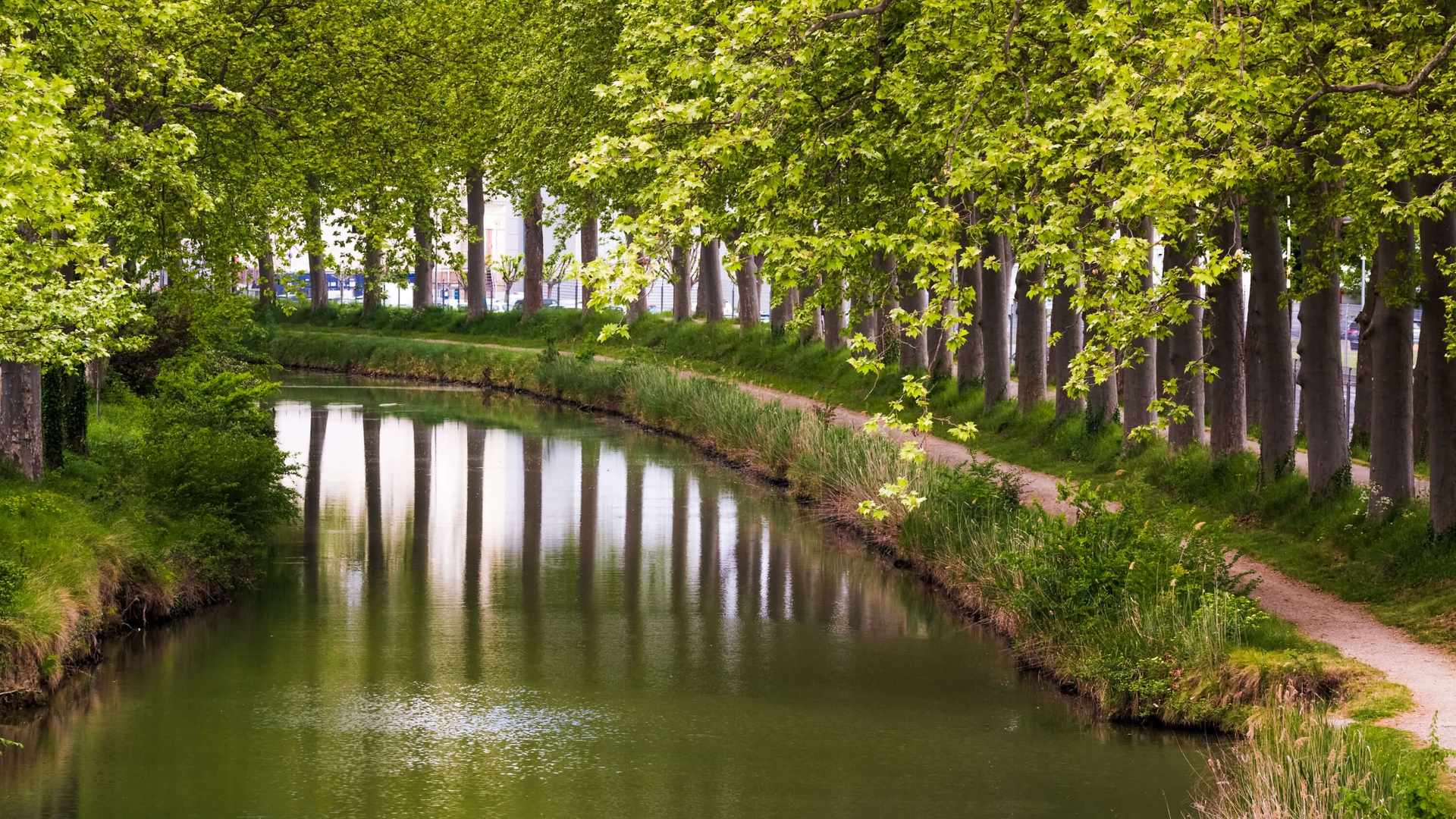 Location de véhicule - TOULOUSE LABEGE