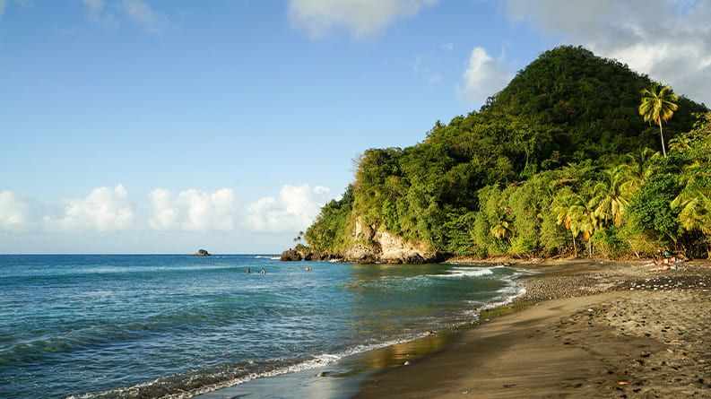 Location de véhicule - MARTINIQUE