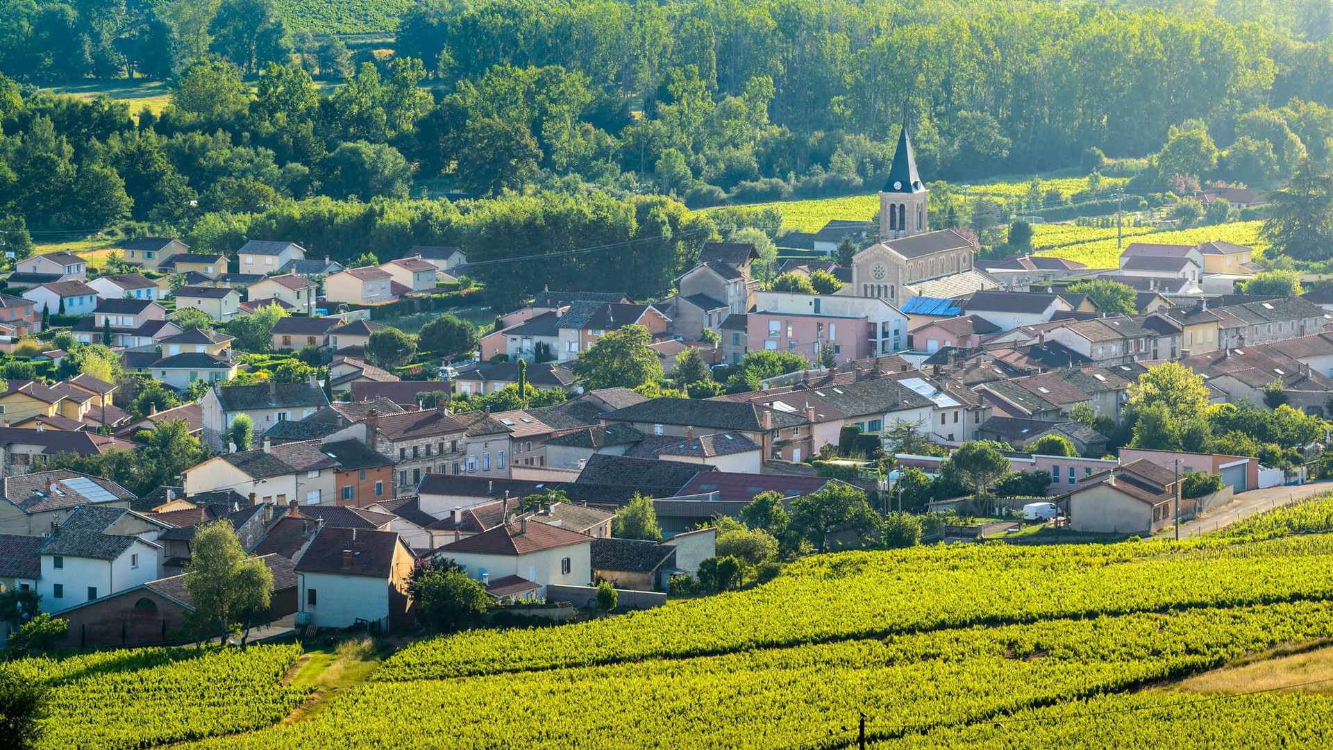 Location de véhicule - MORTAGNE AU PERCHE
