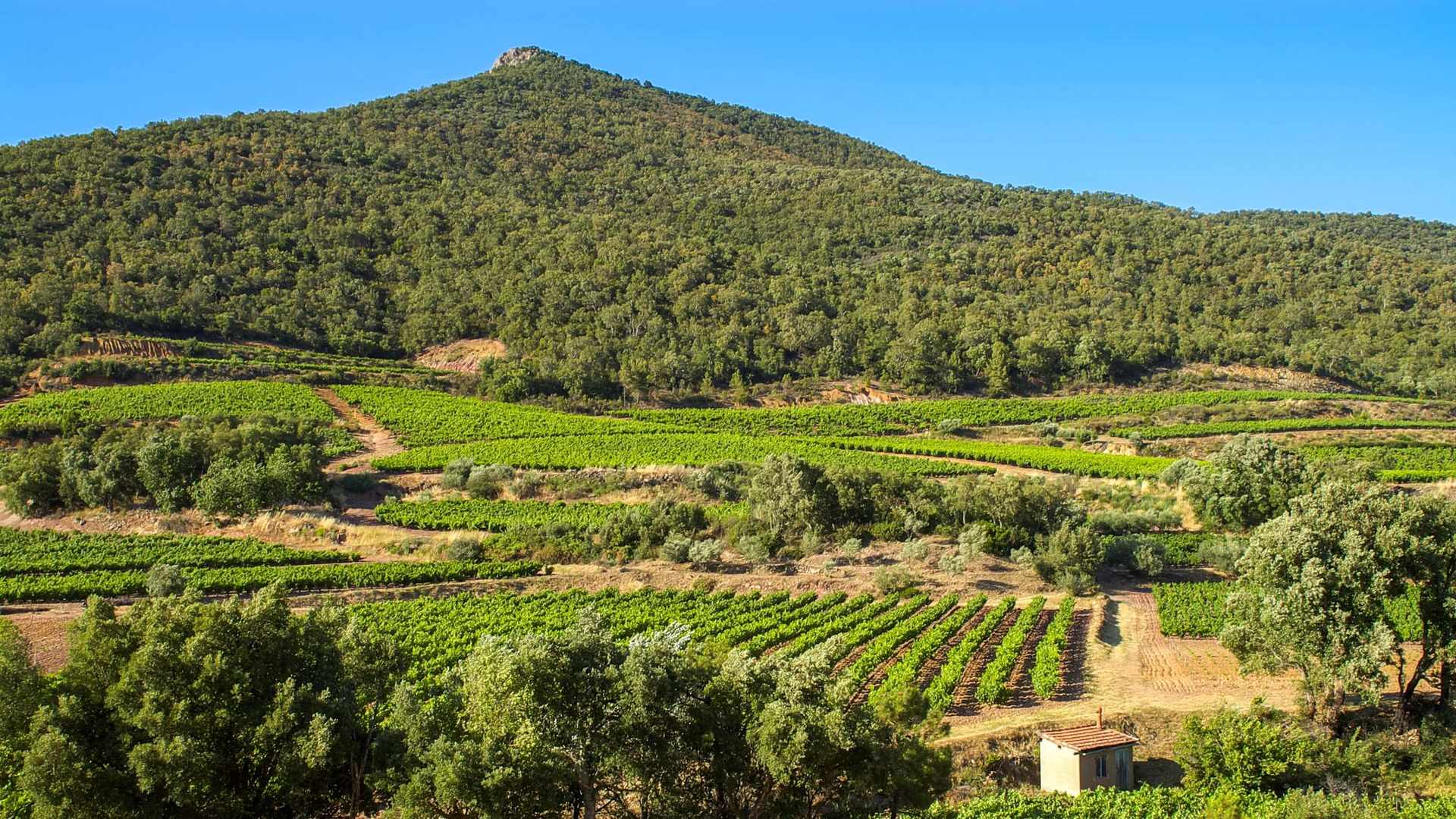 Location de véhicule - PUGET SUR ARGENS  ( FREJUS )