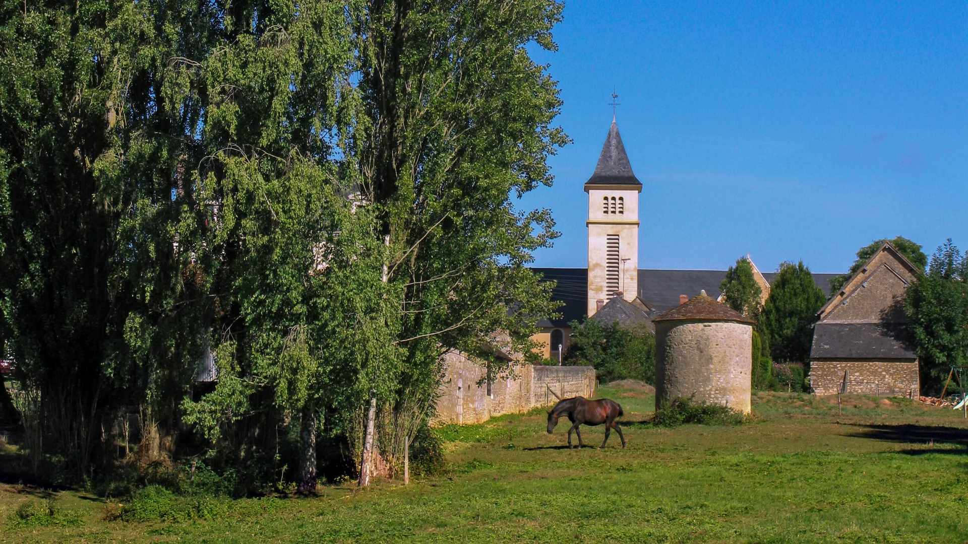 Location de véhicule - SABLE SUR SARTHE