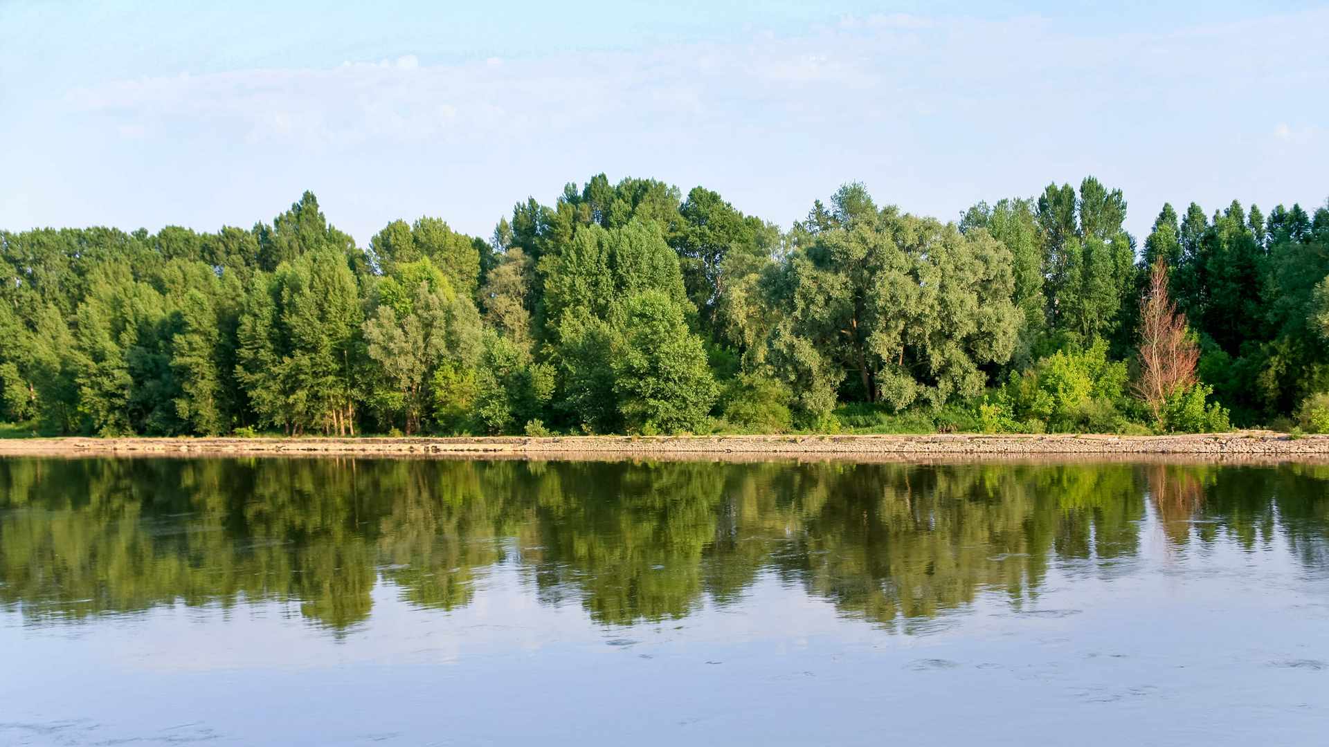 Location de véhicule - ORLEANS NORD