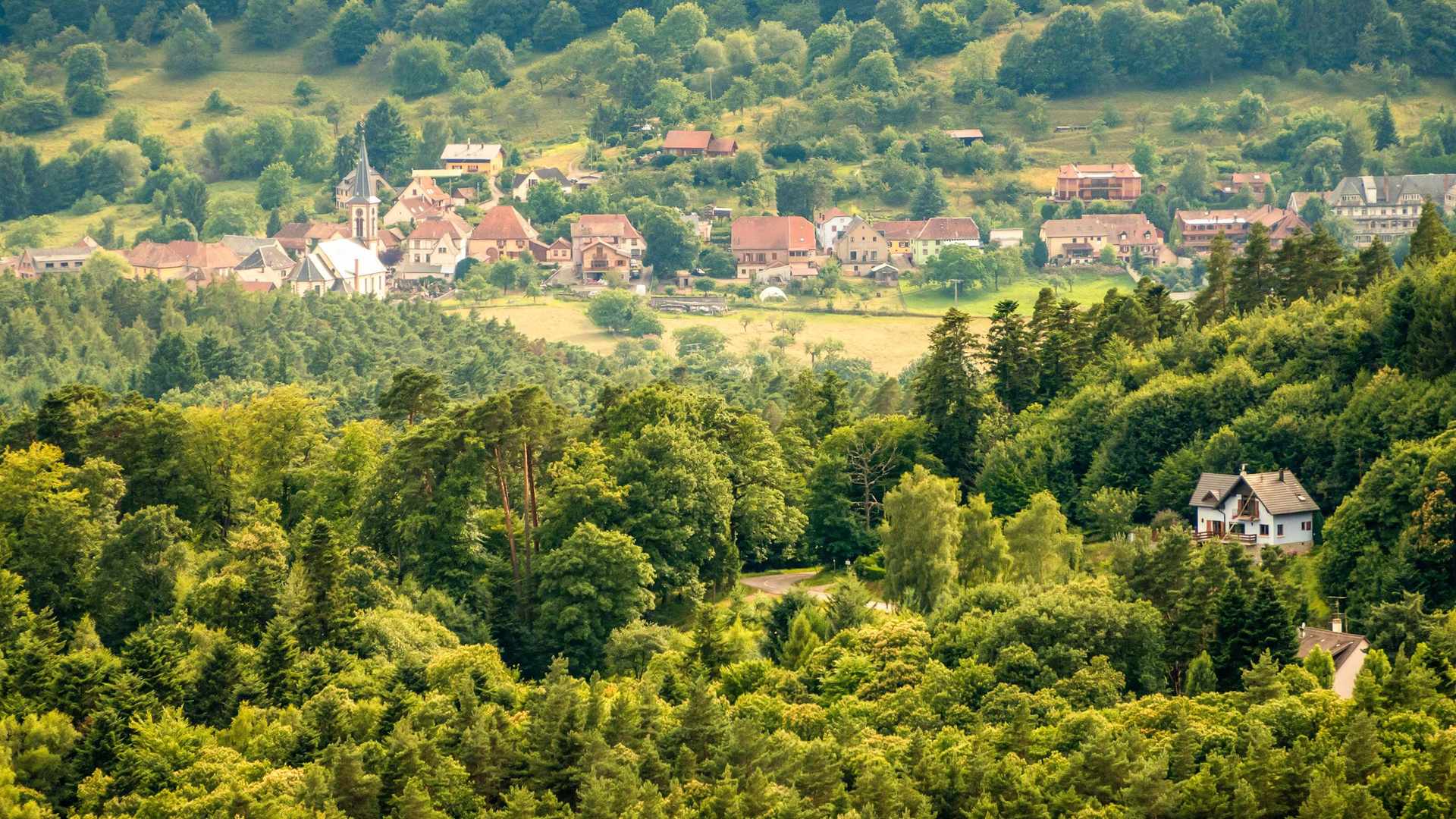 Location de véhicule - STRASBOURG SOUFFELWEYERSHEIM