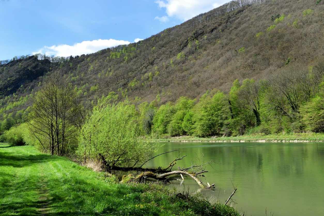Location de véhicule - SAINT DIZIER